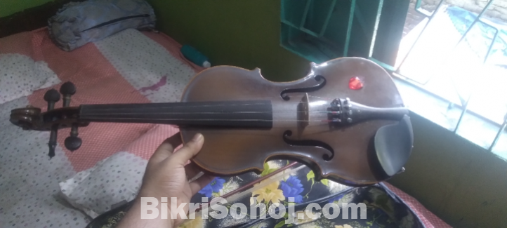 Violin